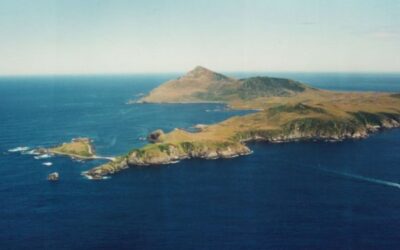 Excursión al Cabo de Hornos